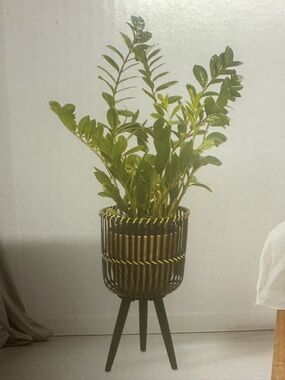 Belavi black & tan Plant Holder on Stand